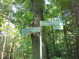 Radwegweisung Burgwaldradweg