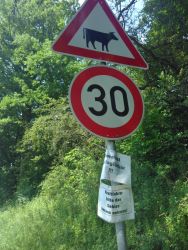 Was will der Autor uns damit sagen?